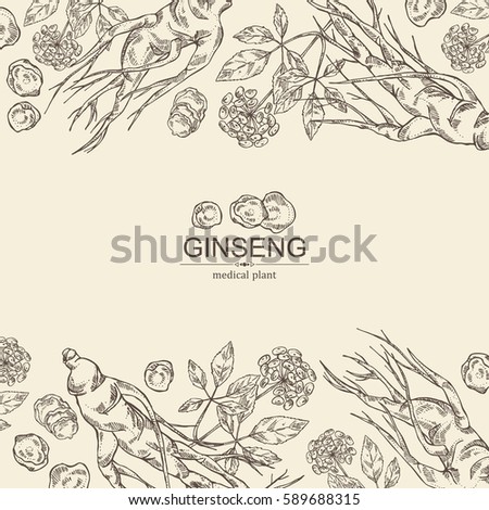 Background with ginseng. Medical plant. hand drawn.