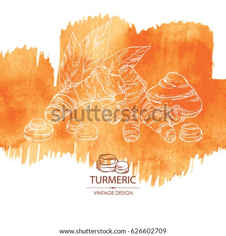 Watercolor background with turmeric: turmeric root and leaves. Hand drawn.