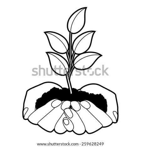 Hands Holding Plant Stock Images, Royalty-Free Images & Vectors