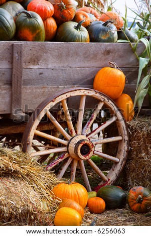 Field Pumpkins Red Barn Stock Photo 17654260 - Shutterstock