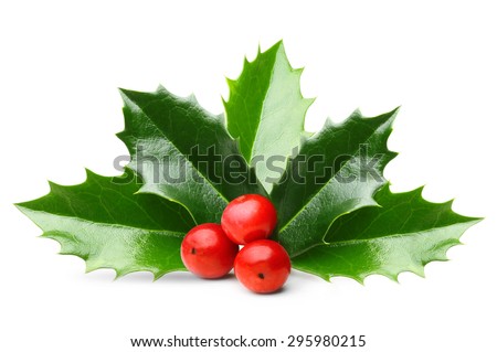 Holly berry leaves Christmas decoration isolated on white background