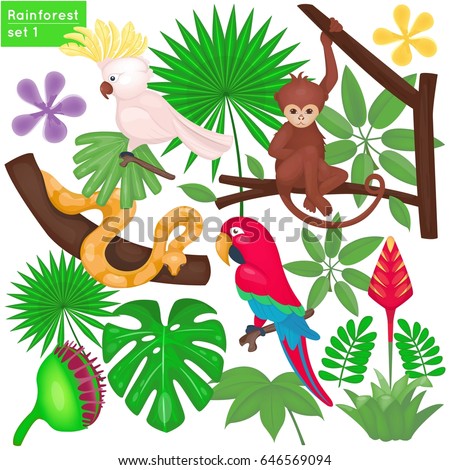 Rainforest Jungle Life Set Tropical Animals Vector de stock646569094