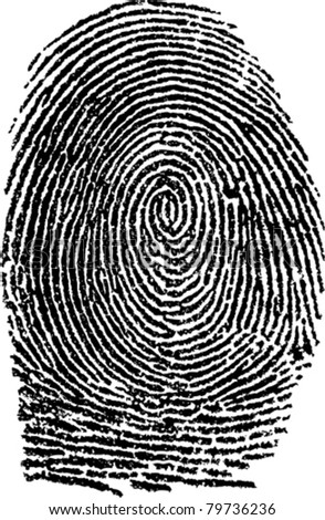 Fingerprint Stock Vector 24455266 - Shutterstock