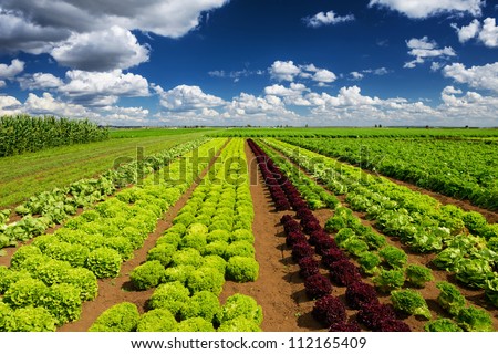 Agriculture Business