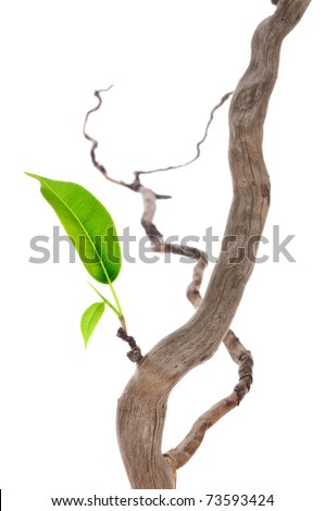 single bbw women in dry branch Find meetups about big beautiful women and meet people in your local community who share your interests. single bbw women in dry branch Find meetups about big beautiful women and meet people in your local community who share your interests.