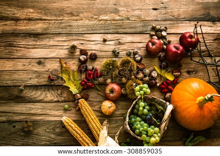 Autumn Stock Images, Royalty-Free Images & Vectors | Shutterstock