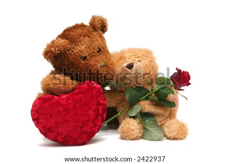 teddy roses