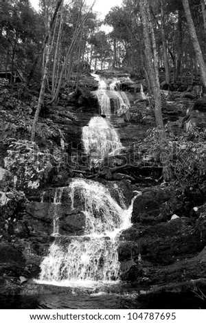 delaware water gap black single women Find helpful customer reviews and review ratings for delaware water gap (national geographic trails illustrated map) at amazoncom read honest and unbiased product reviews from our users. delaware water gap black single women Find helpful customer reviews and review ratings for delaware water gap (national geographic trails illustrated map) at amazoncom read honest and unbiased product reviews from our users.