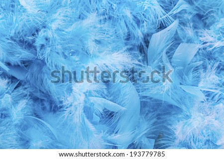 Blue Feathers Stock Photos, Images, & Pictures | Shutterstock