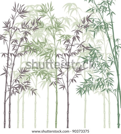vector background with bamboo forest