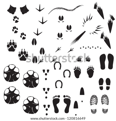 Hoof Stock Photos, Royalty-Free Images & Vectors - Shutterstock