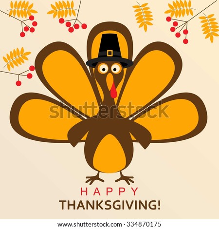 Turkey feathers Stock Photos, Images, & Pictures | Shutterstock