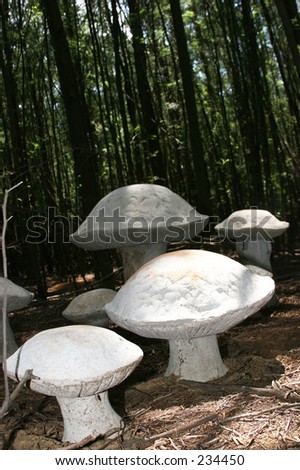 Cement Mushrooms Forest Stock Photo (Royalty Free) 234450 - Shutterstock