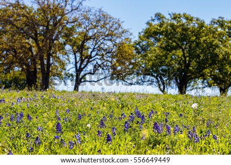 Ranch Stock Photos, Royalty-Free Images & Vectors - Shutterstock