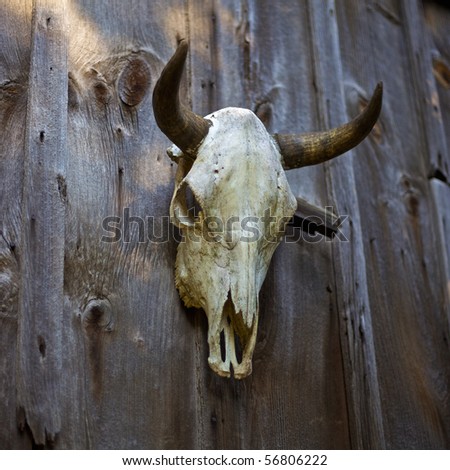 Ranch Entrance Stock Images, Royalty-Free Images & Vectors ...