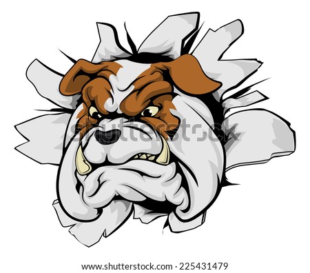 Bulldog sports mascot breakthrough concept of a bulldog sports mascot or character breaking out of the background or wall