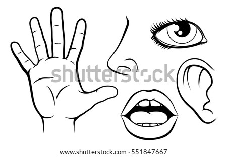 black white mind and ideas royaltyfree vector icon set stock vector 478271243 istock science education illustration icons representing 5 stock vector royalty free 551847667 black white mind and ideas royaltyfree vector icon set stock vector 478271243 istock science education illustration icons representing 5 stock vector royalty free 551847667