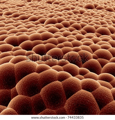 skin cells stock photos royalty free images vectors skin cells stock images royalty free images vectors skin cells stock photos royalty free images vectors skin cells stock images royalty free images vectors