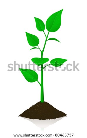 Vector Tree Illustration Stock Vector 80181358 - Shutterstock