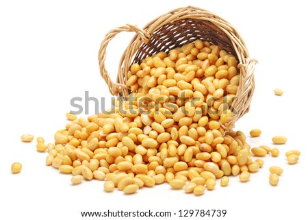soybean isolated on white background