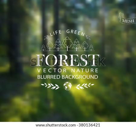 Vector Abstract Background For Design Ecology Label Eco Forest Wood Vector Abstract Background For Design Ecology Label Eco Forest Wood