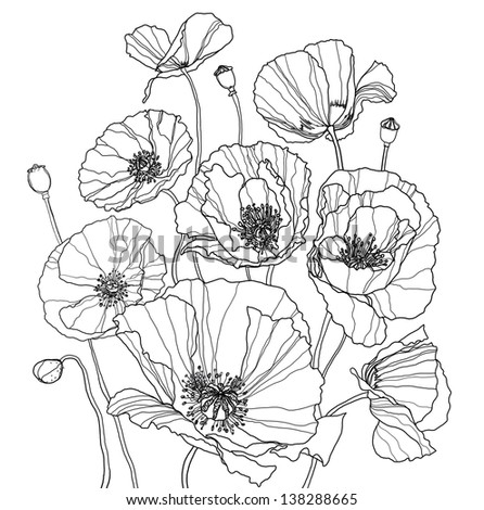 Black White Illustration Poppy Flowers Stock Vector 267816878 ...