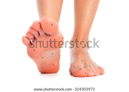 Women Foot Stepping Stock Photo 103233800 - Shutterstock