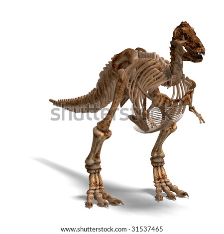 Anatomical Correct Male Skeleton 3d Rendering Stock Illustration ...