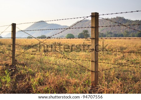 Barbed Wire Fences Barbed Wire Fences