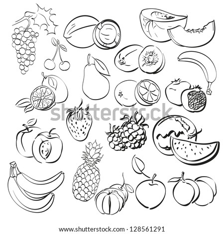 different fruits set isolated on white . vector illustration