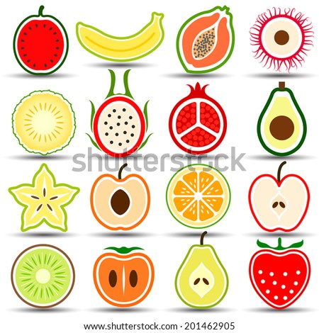Collection of Fruits set hand drawn vector,illustration