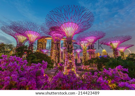 Garden By The Bay August 2014 perfect gardenthe bay august 2014 in decorating ideas Garden By The Bay August 2014 perfect gardenthe bay august 2014 in decorating ideas