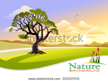 Sunset at Countryside with Graphic Wave Background