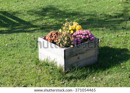Planter Box Stock Photos, Royalty-Free Images &amp; Vectors - Shutterstock