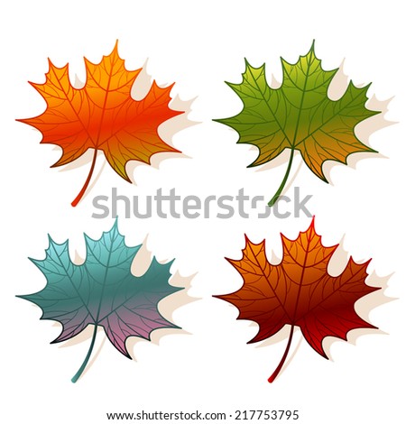 Maple Leaf Drawing Stock Vector 133242428 - Shutterstock