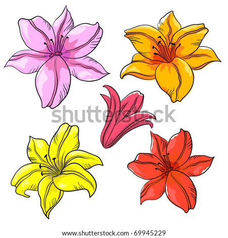 Flowers Lily Multicoloured Isolated Drawing Set Stock Illustration