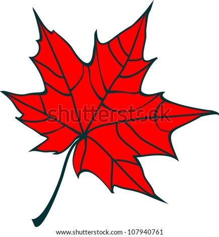 Realistic Red Maple Leaf Isolated On Stock Vector 322522946 - Shutterstock