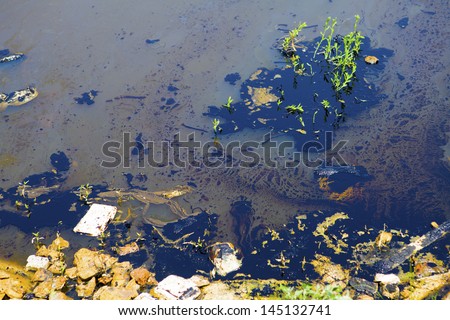 Oil pollution