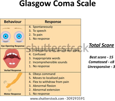 glasgow coma and glasgow outcome scales for brain injury Gcs and gos are vital in identifying the severity of brain injury and are still the most used scales for their purpose due to their. glasgow coma and glasgow outcome scales for brain injury Gcs and gos are vital in identifying the severity of brain injury and are still the most used scales for their purpose due to their.