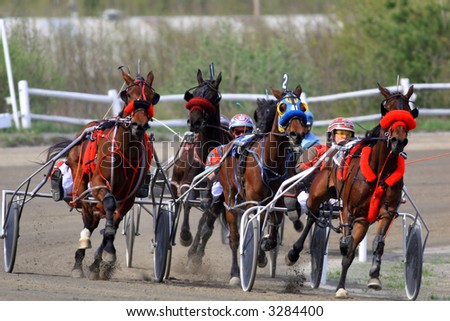 Harness Racing Driving Colors