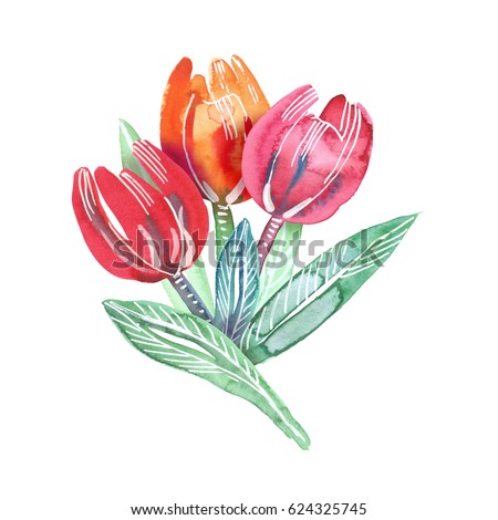 Handdrawn Watercolor Illustration Red Protea Flower Stock Illustration ...