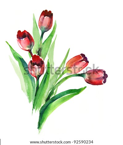 Purple Tulips Watercolor Stock Photos, Images, & Pictures | Shutterstock
