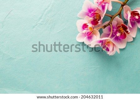 Lovely Flowers On Turquoise Shabby Chic Stock Photo 403664248 ...