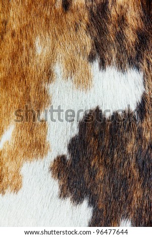 Cowhide Stock Photos, Royalty-Free Images & Vectors - Shutterstock