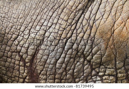 Rhino Skin Texture Stock Photos, Images, & Pictures | Shutterstock