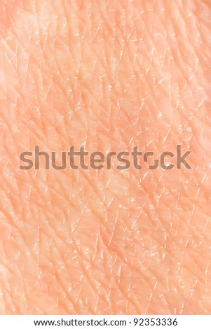 skin pores stock images royalty free images vectors skin pores stock images royalty free images vectors skin pores stock images royalty free images vectors skin pores stock images royalty free images vectors