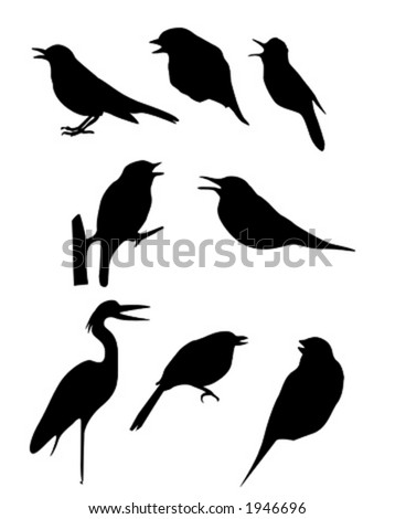 Stylized Black Silhouettes Birds On White Stock Illustration 385305997 ...