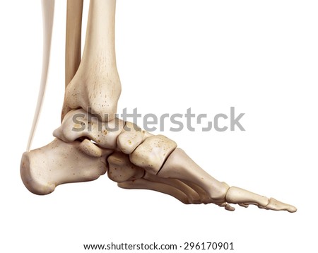 Achilles Stock Images, Royalty-Free Images & Vectors | Shutterstock