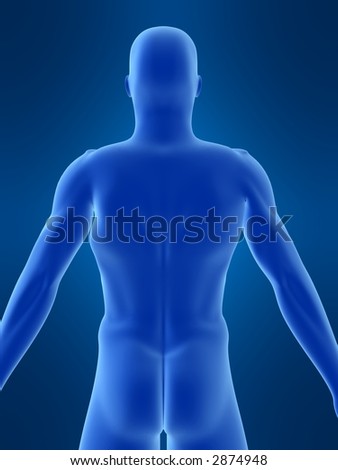 Human Back Anatomy Stock Images, Royalty-Free Images & Vectors