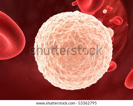 White Blood Cells Stock Photos, Images, & Pictures | Shutterstock